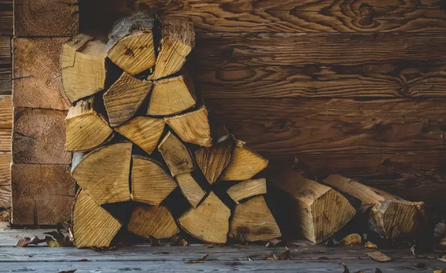 Brennholz trocknen - Wie lange? Lagerung & feuchtes Holz erkennen