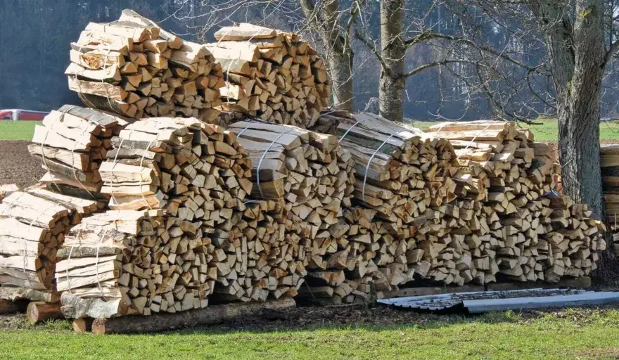Altes Holz brennt schlecht? Das steckt wirklich dahinter!