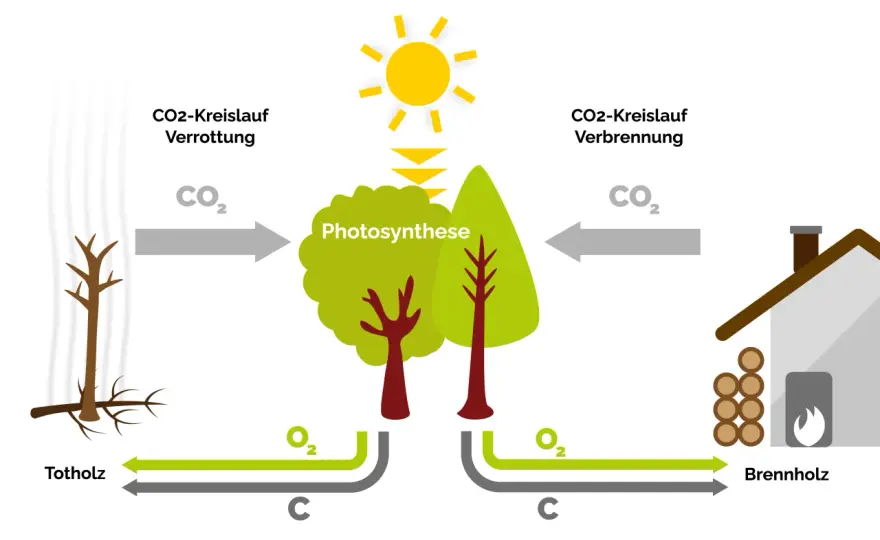 Holzverbrennung verstehen - Effizienter heizen & Emissionen senken