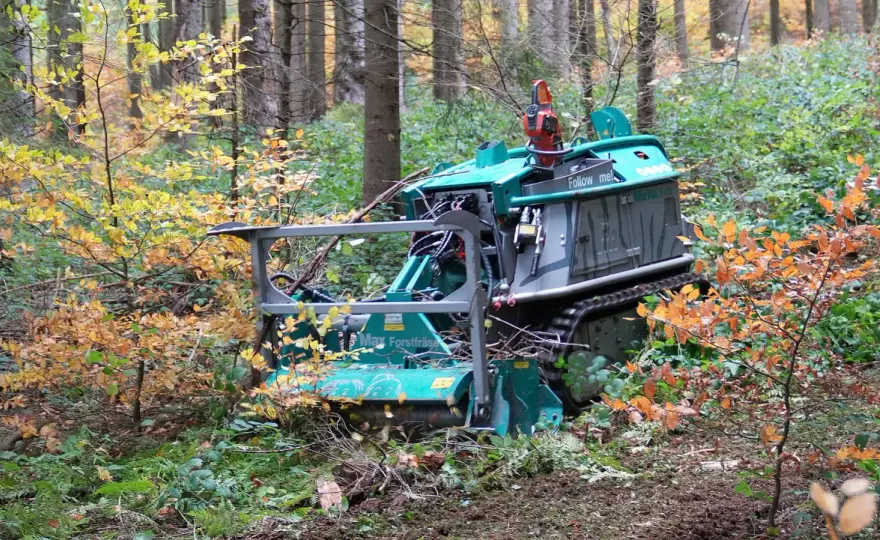 Rückezange - Lohnt sich der Kauf für deinen Wald?