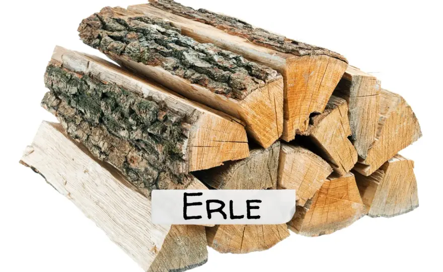 Erlenholz als Brennholz - Lohnt es sich wirklich?