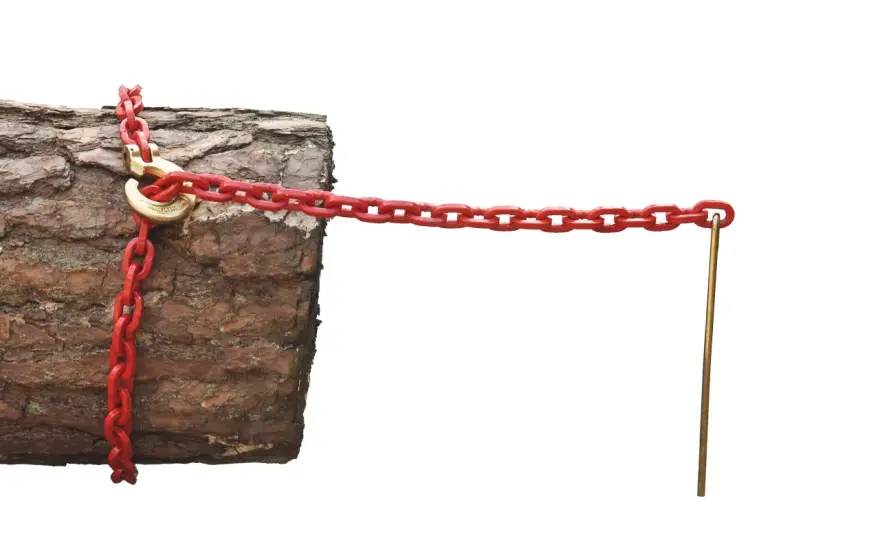 Chokerkette Forst - So wählst du die Richtige & vermeidest Fehler