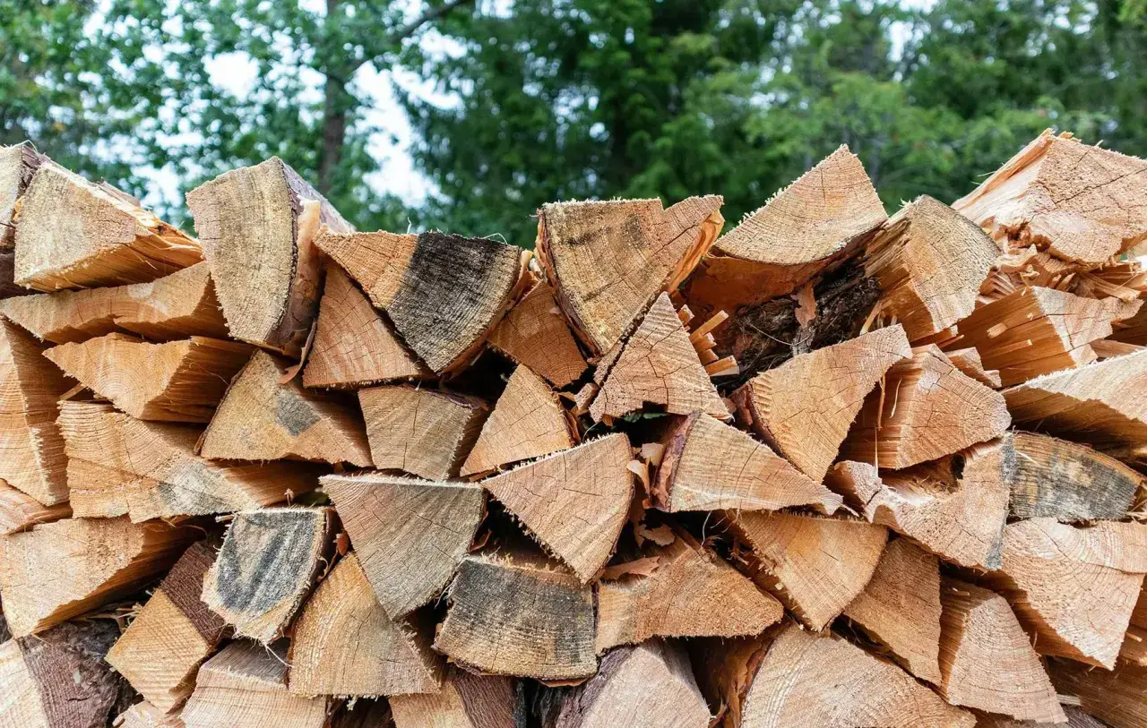 Stapel von gespaltenem Holz, bereit für den Winter. Der hohe Brennwert von Ulmenholz macht es zu einer beliebten Wahl für Kaminholz.