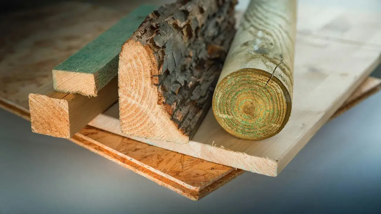 Verschiedene Holzarten, von grober Rinde bis zu glatten Brettern, zeigen unterschiedliche dichte holz kg/m3.