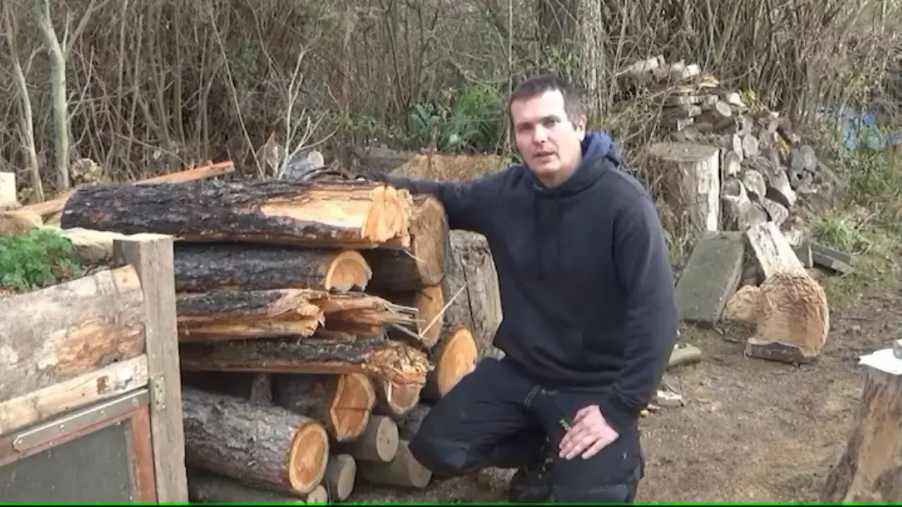 Mann steht neben einem Stapel Holzscheite. Er erklärt, dass Kiefer gutes Brennholz ist.