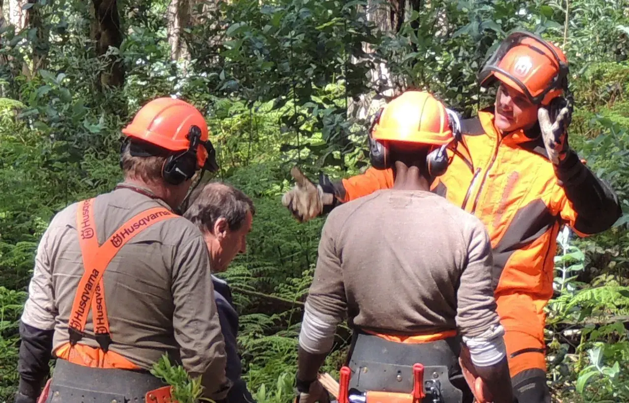 Waldarbeiter mit orangefarbenem **Forsthelm** und Gehörschutz besprechen die nächste Aktion im Wald.