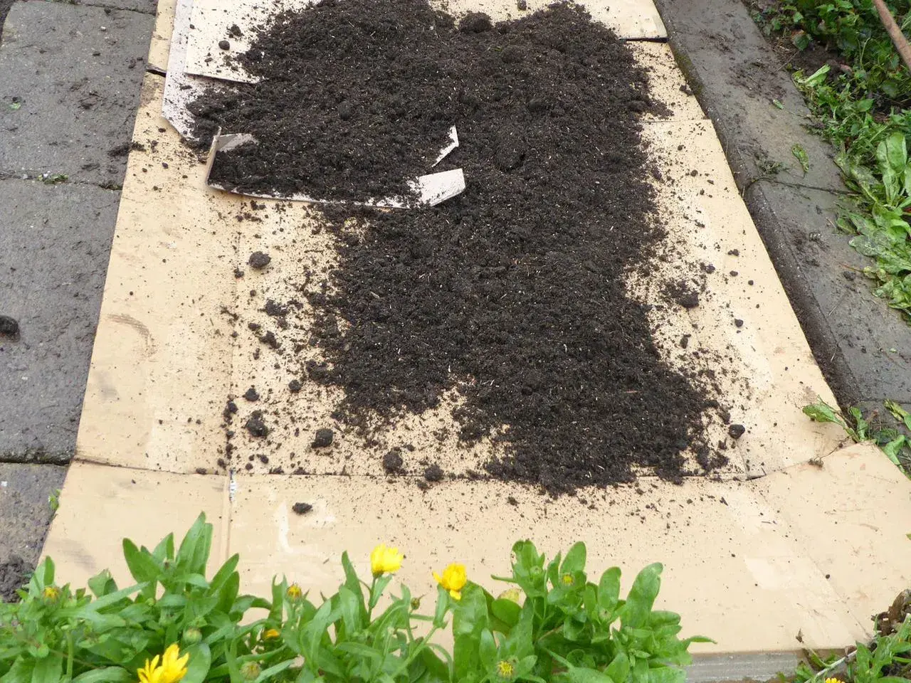 Pappe im Garten wird als Mulch verwendet, um Unkraut zu unterdrücken. Sie ist nicht giftig und zersetzt sich im Boden.