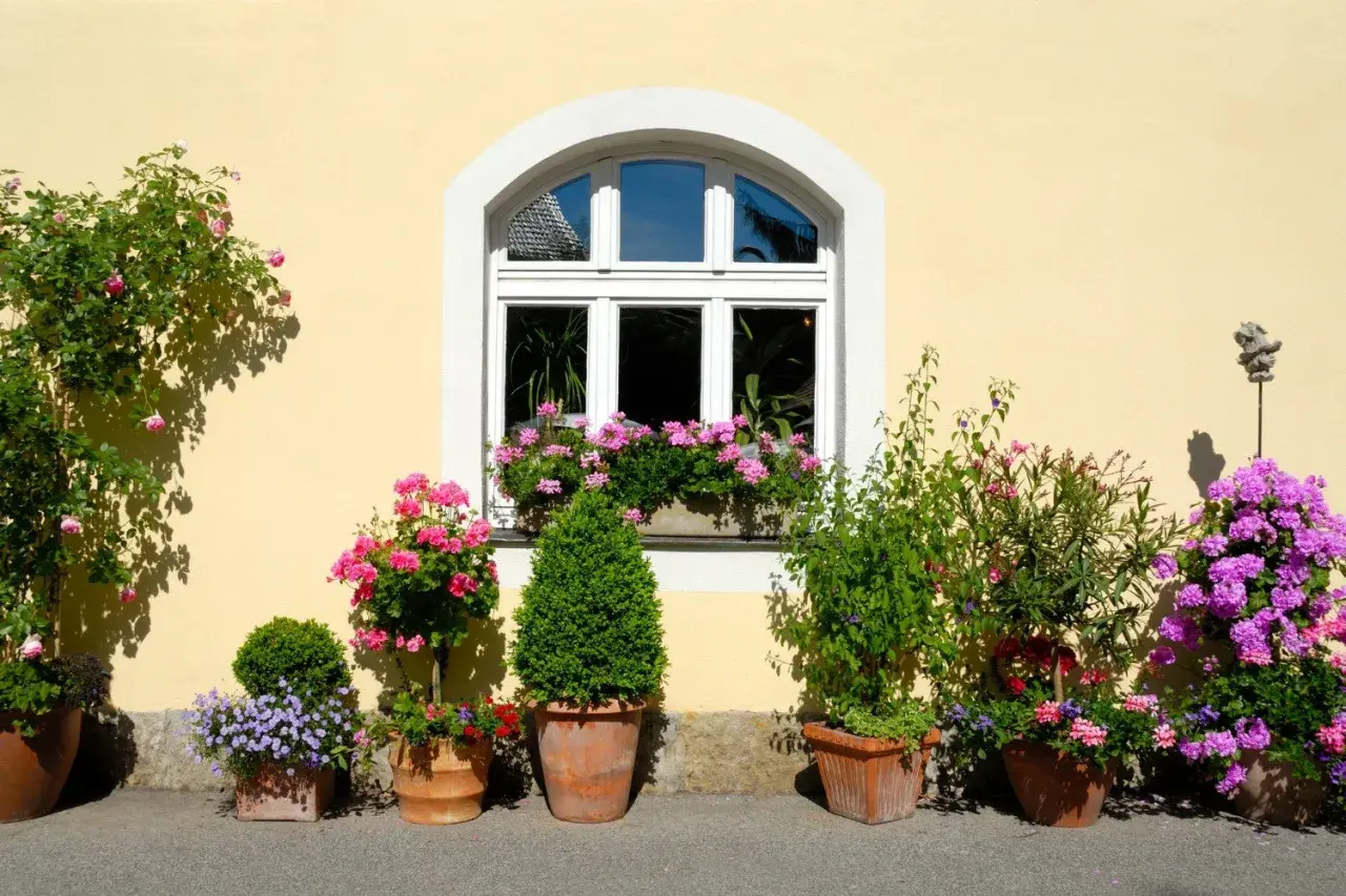 Bunte blumen pflanzen im topf schmücken die gelbe Hauswand neben einem Fenster. Rosen, Geranien und Lavendel blühen üppig.