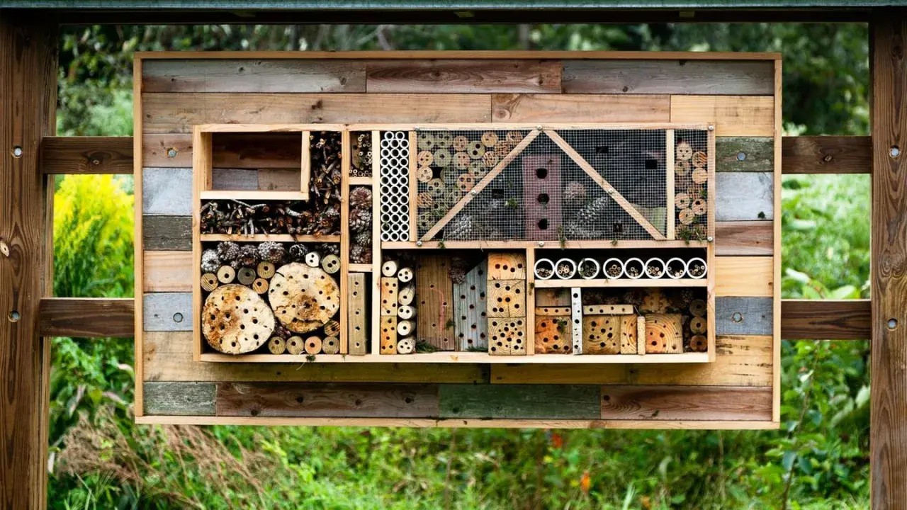 Ein **wildbienenhotel selber bauen** ist eine tolle Idee! Dieses Hotel bietet Nistplätze aus Holz, Röhren und Zapfen für Insekten.