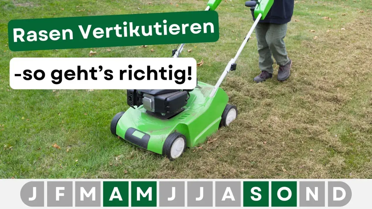 Rasen vertikutieren wann? Ein grüner Vertikutierer im Einsatz auf einem Rasen, der Pflege benötigt. Die Monate zeigen, wann die beste Zeit dafür ist.