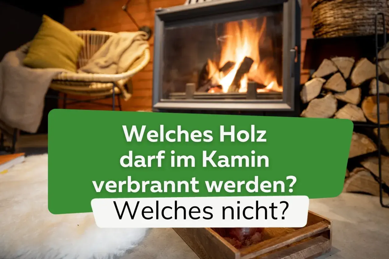 Gemütliches Kaminfeuer mit brennendem Holz. Eibenholz verbrennen ist nicht ratsam. Welches Holz darf im Kamin verbrannt werden?