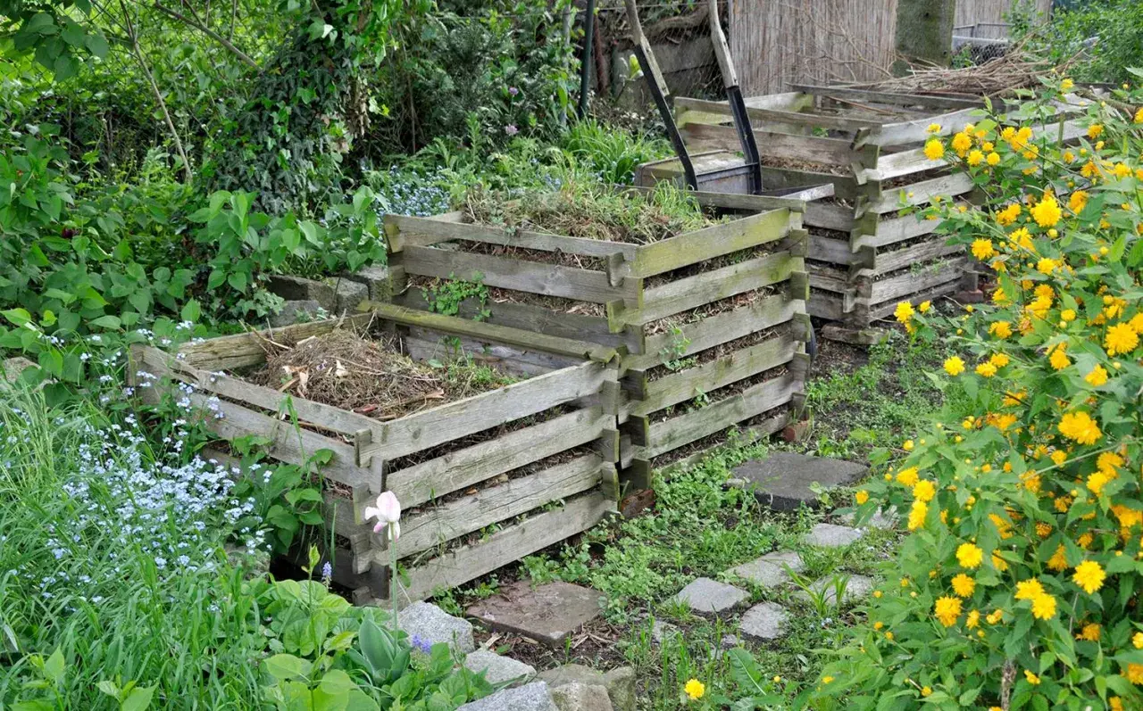 Mehrere Holzkomposter im Garten, bereit, um kompost herstellen. Umgeben von üppigem Grün und gelben Blüten.