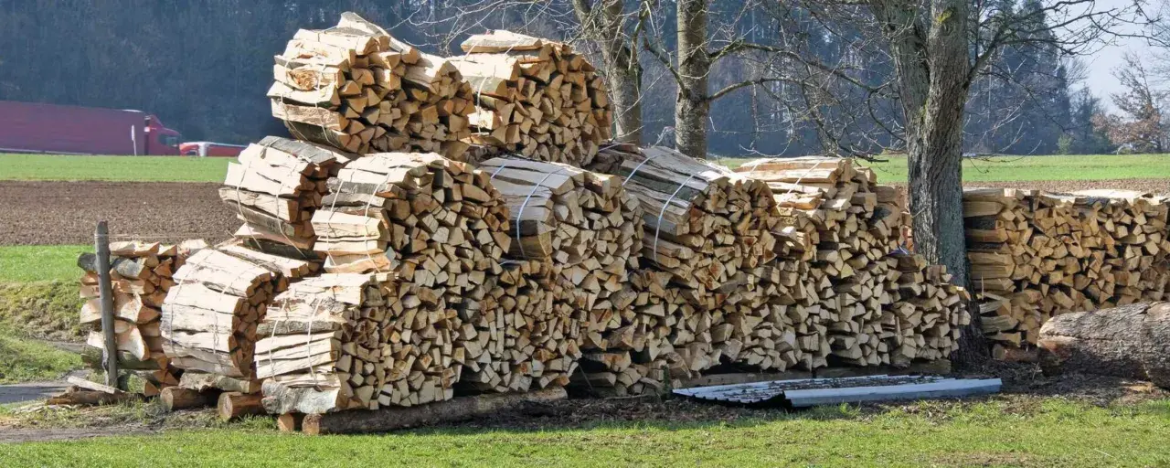 Stapel von gespaltenem Holz, bereit für den Winter. Dieses sehr alte Holz brennt schlecht, aber es ist ein schöner Anblick.