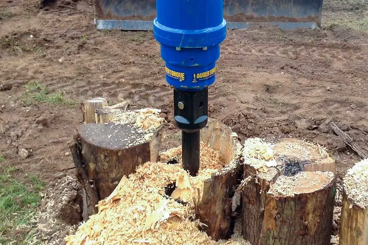 Ein blauer Bohrer entfernt einen Baumstumpf, indem er ihn zerkleinert. Holzspäne fliegen überall herum.