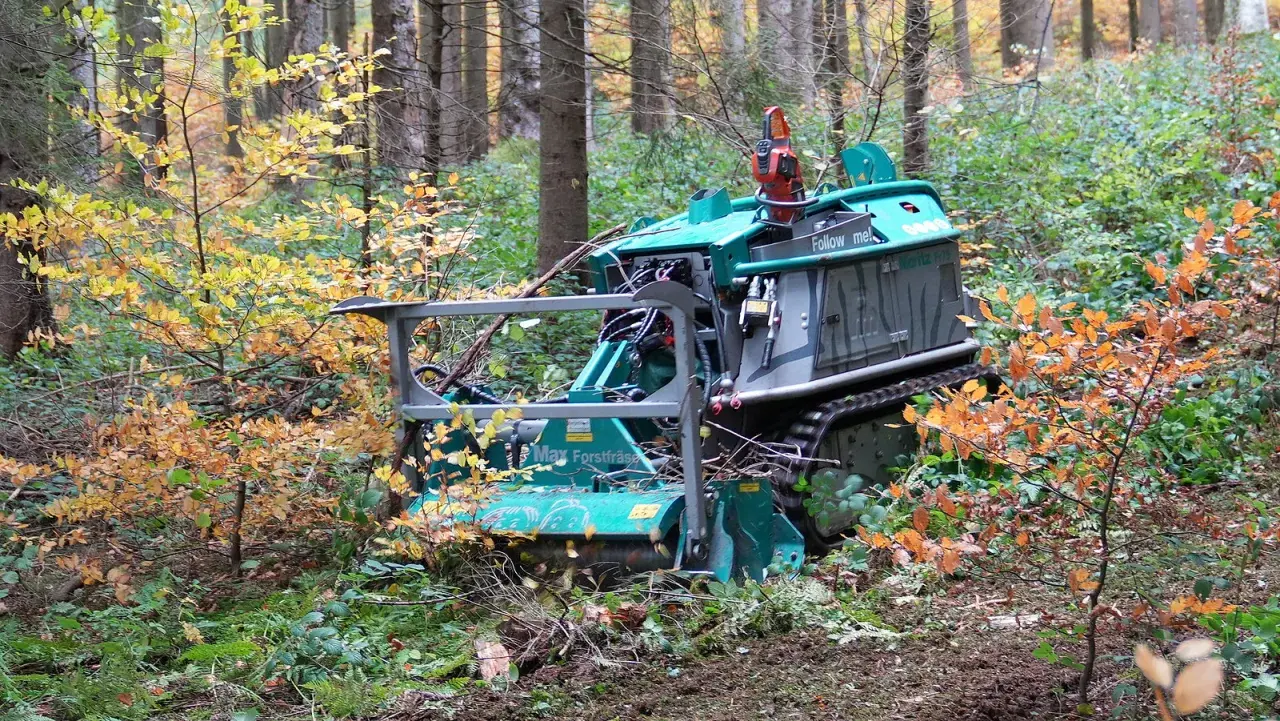 Grüne Forstmaschine mit Rückezange im Herbstwald, bereit für die Arbeit.