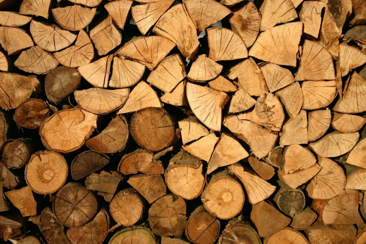 Stapel gespaltenes Brennholz, hauptsächlich Esche. Der Nachteil von Esche als Brennholz ist, dass es langsam trocknet, aber gut brennt.