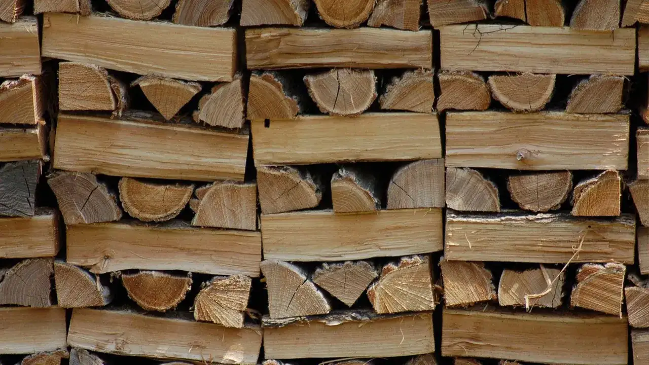Stapel von Douglasie Brennholz, bereit für den Winter. Die Holzscheite sind sauber gespalten und ordentlich aufgeschichtet.