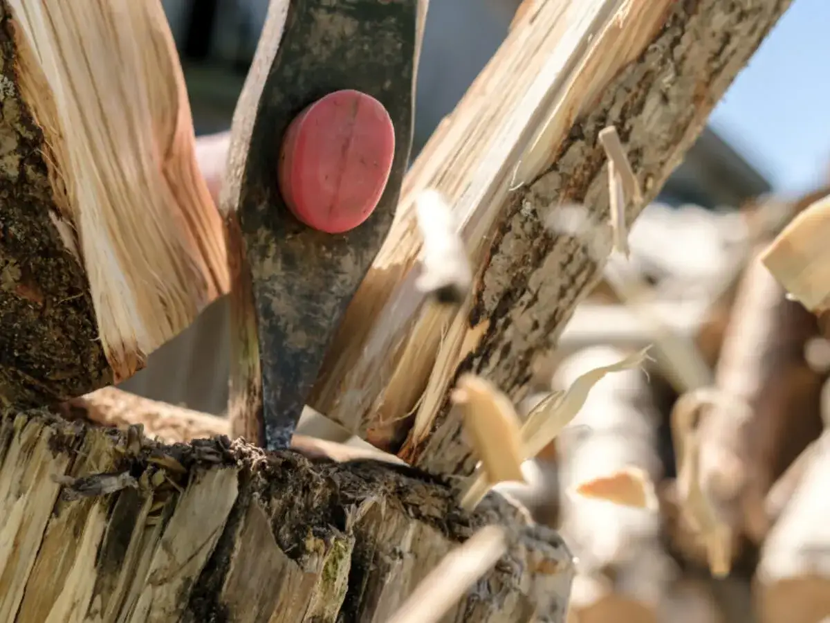 Axt spaltet Holz. Ulmenholz hat einen guten Brennwert für den Winter.
