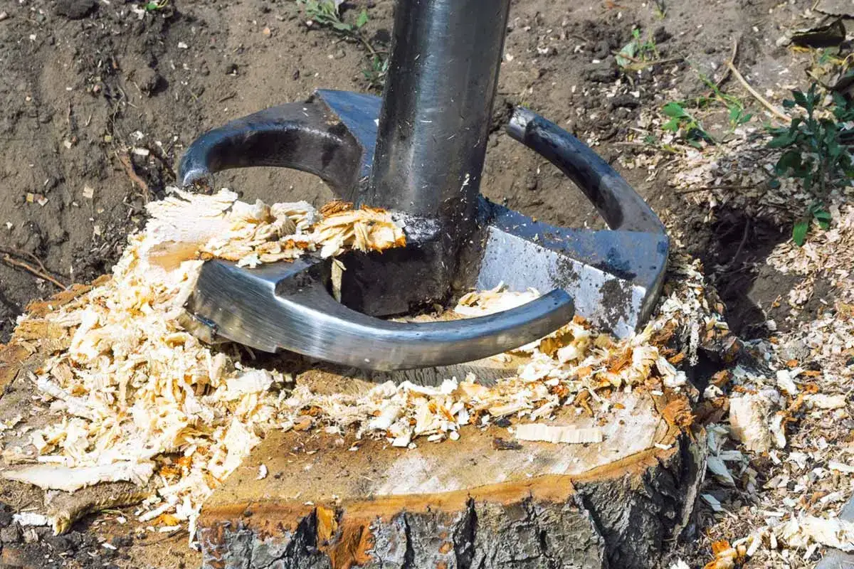 Eine starke Maschine zerkleinert einen Baumstumpf zu Spänen. Die Fräse des Geräts ist im Einsatz, um den Baumstumpf zu entfernen.