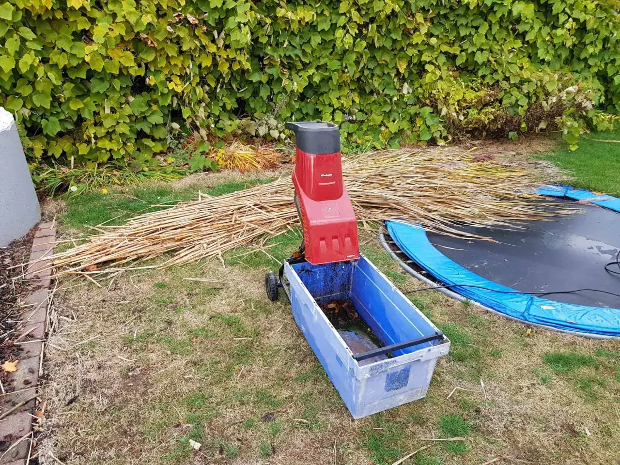 Gartenhäcksler bereit, um aus Pflanzenresten Mulch herzustellen.