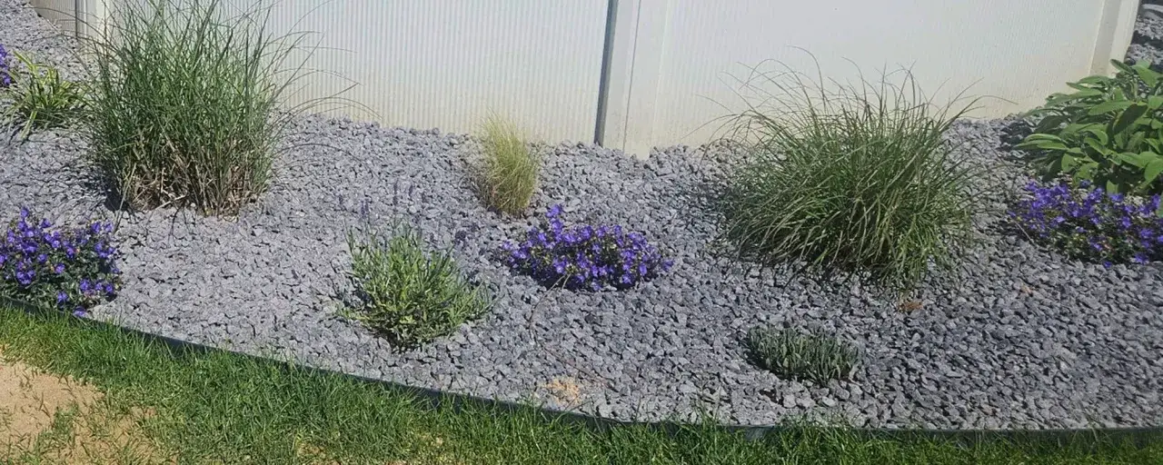 Ein Gartenbeet mit blau blühenden Pflanzen und Gräsern, bedeckt mit grauem Vulkan-Mulch.