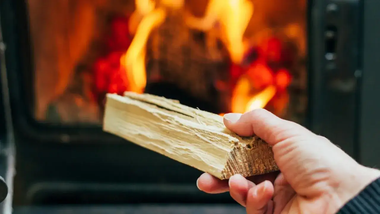 Hand h&auml;lt Holzscheit vor brennendem Kaminfeuer. Ab wann brennt Holz? Sobald es trocken ist und die Flammen es erreichen.