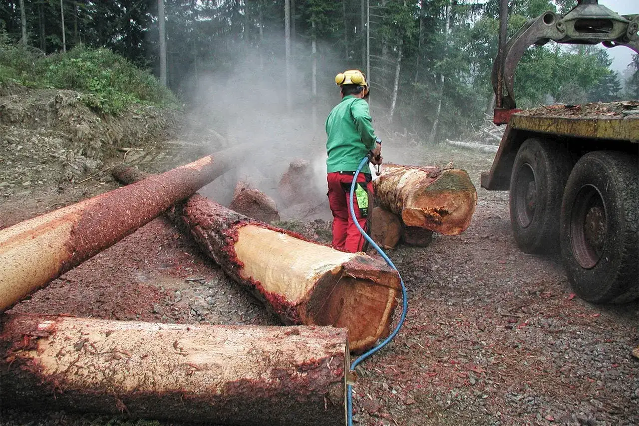 Holzfäller reinigt einen Baum ohne Rinde mit einem Hochdruckreiniger. Holzstämme liegen auf dem Boden, ein LKW wartet.