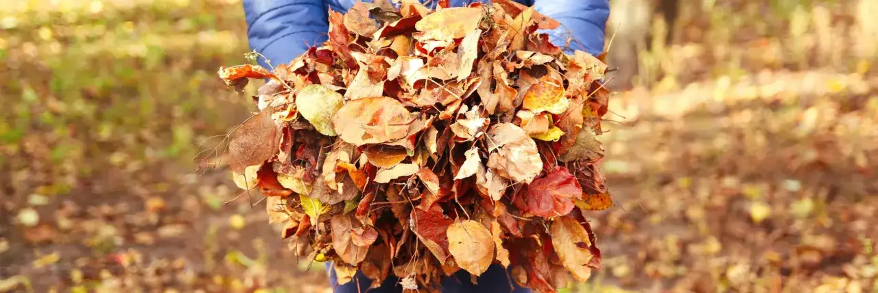 Ein Haufen bunter Herbstblätter, gehalten von Händen in einer blauen Jacke. Die Frage, wie lange braucht Laub zum verrotten, beschäftigt viele Gärtner.