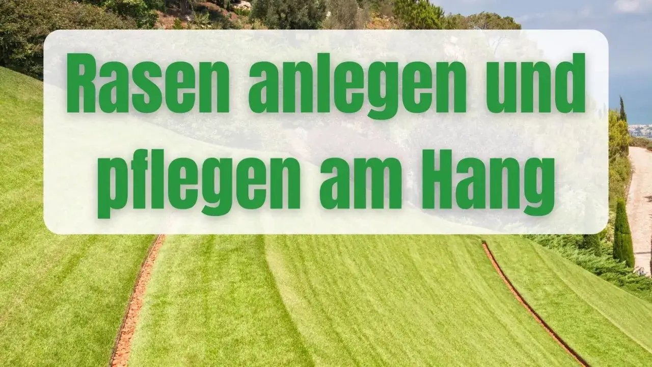 Grüner Rasen am Hang, mit Text