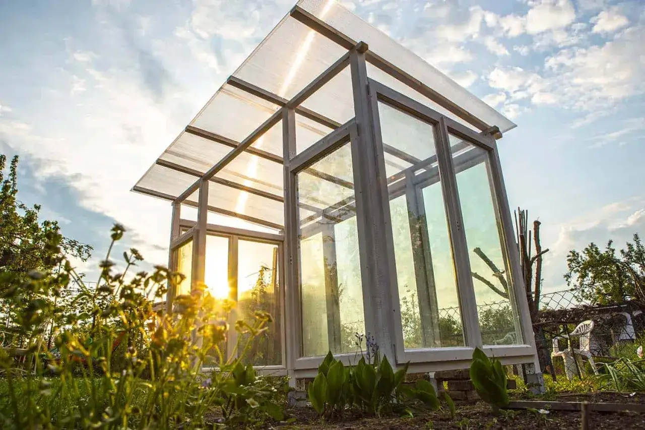 Ein selbstgebautes Gewächshaus mit transparentem Dach, ideal zum Tomatenanbau. Die Sonne scheint durch die Glaswände.
