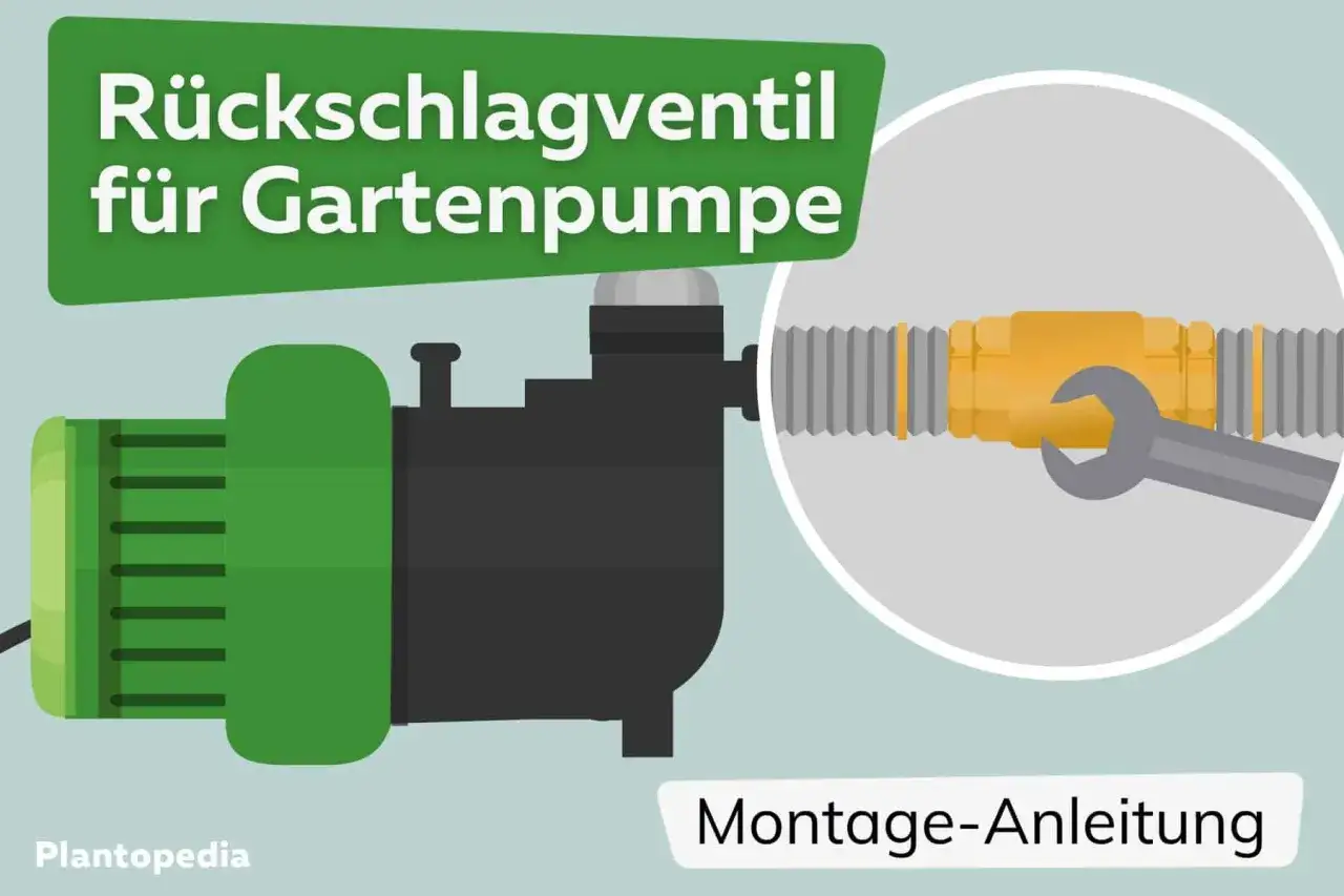 Illustration zeigt eine Gartenpumpe mit einem Rückschlagventil, das an einem Schlauch montiert wird. Montage-Anleitung.
