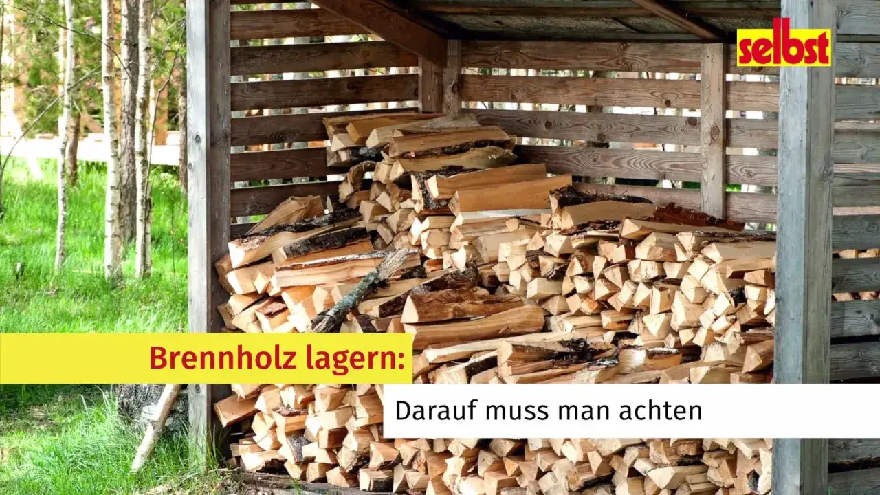 Ein Holzstapel im Freien, bereit f&uuml;r den Winter. Hier erf&auml;hrst du, was ist gutes brennholz und wie man es richtig lagert.