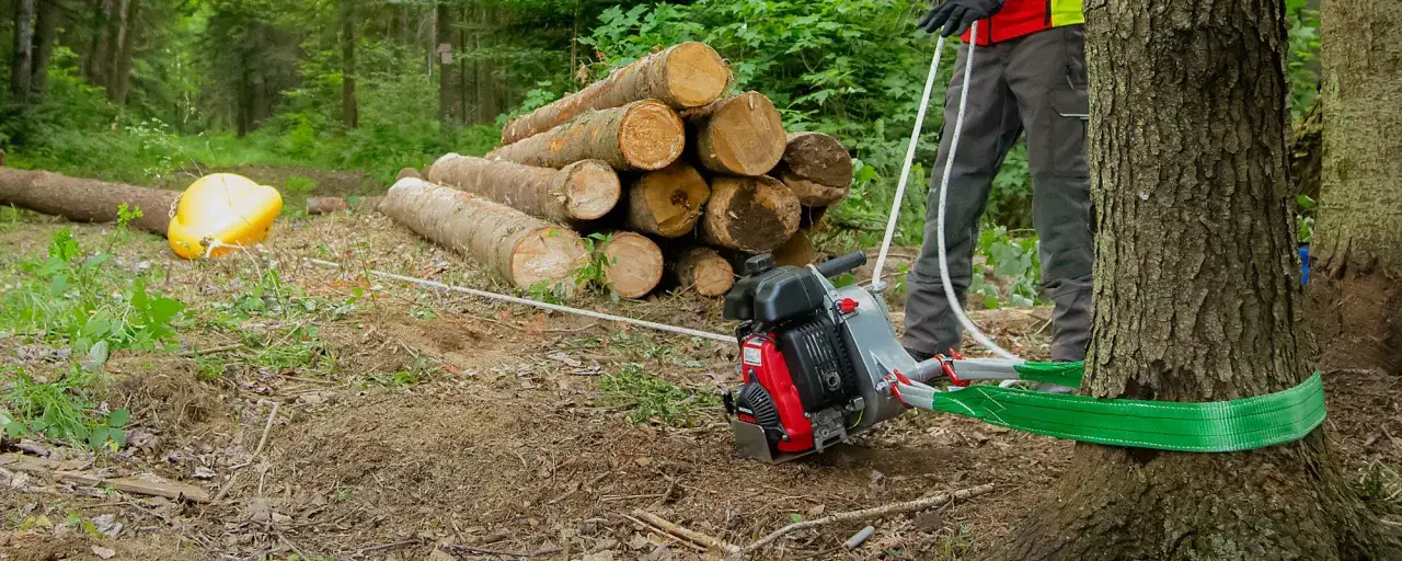 Eine Seilwinde im Wald hilft beim Bewegen von Holzstämmen. Ein Mann mit Handschuhen bedient die Winde, die an einem Baum befestigt ist.
