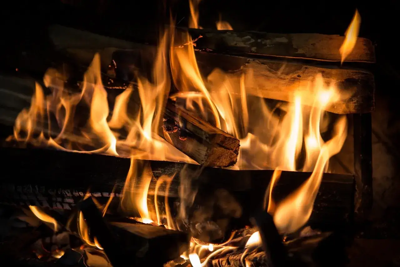 Flammen tanzen um brennendes Holz. Ein Stück ginkgo holz verbrennen im Kamin, Wärme und Licht verbreitend.