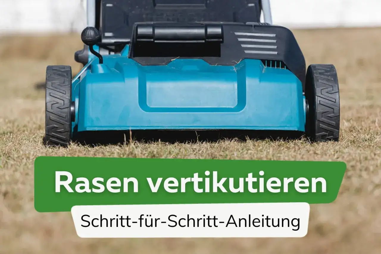 Ein Rasenvertikutierer steht im trockenen Gras. Die Anleitung