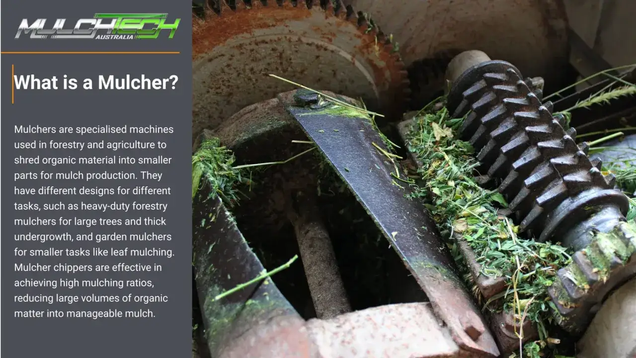 Nahaufnahme eines Mulchers, der Gras zerkleinert. Ein Mulcher ist eine Maschine zur Zerkleinerung von organischem Material.