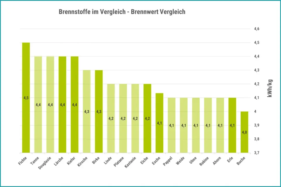 Douglasie als Brennholz? Heizwert, Trocknung und Ofentipps
