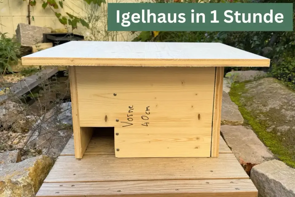 Igelhaus bauen - Anleitung für ein sicheres Winterquartier